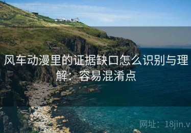 风车动漫里的证据缺口怎么识别与理解：容易混淆点