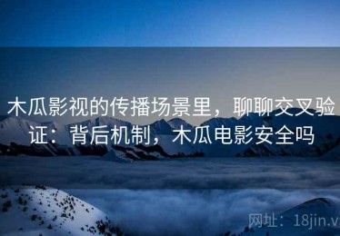 木瓜影视的传播场景里，聊聊交叉验证：背后机制，木瓜电影安全吗