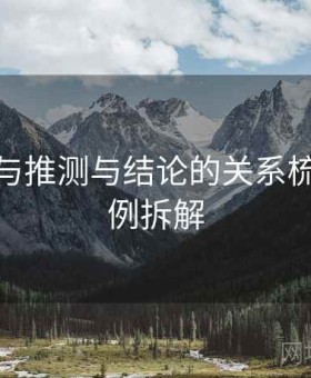 微密圈与推测与结论的关系梳理：案例拆解