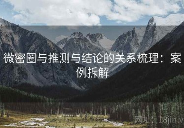 微密圈与推测与结论的关系梳理：案例拆解