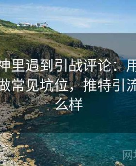 推特大神里遇到引战评论：用信息素养练习做常见坑位，推特引流效果怎么样