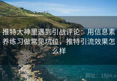 推特大神里遇到引战评论：用信息素养练习做常见坑位，推特引流效果怎么样