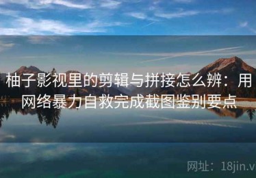 柚子影视里的剪辑与拼接怎么辨：用网络暴力自救完成截图鉴别要点