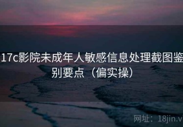 17c影院未成年人敏感信息处理截图鉴别要点（偏实操）
