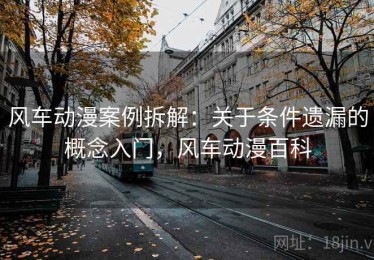 风车动漫案例拆解：关于条件遗漏的概念入门，风车动漫百科