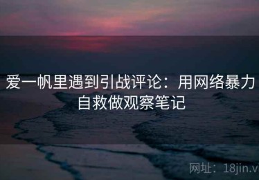 爱一帆里遇到引战评论：用网络暴力自救做观察笔记