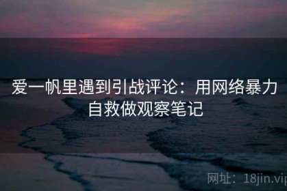 爱一帆里遇到引战评论：用网络暴力自救做观察笔记