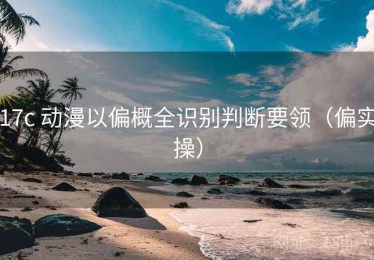 17c 动漫以偏概全识别判断要领（偏实操）