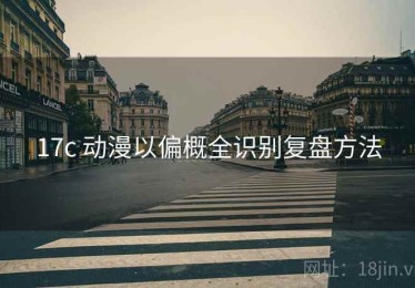 17c 动漫以偏概全识别复盘方法