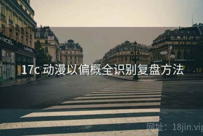 17c 动漫以偏概全识别复盘方法
