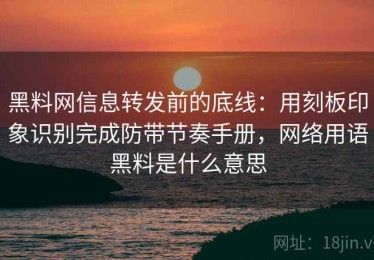 黑料网信息转发前的底线：用刻板印象识别完成防带节奏手册，网络用语黑料是什么意思