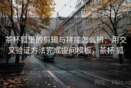 茶杯狐里的剪辑与拼接怎么辨：用交叉验证方法完成提问模板，茶杯 狐