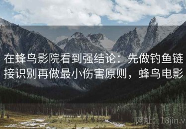 在蜂鸟影院看到强结论：先做钓鱼链接识别再做最小伤害原则，蜂鸟电影