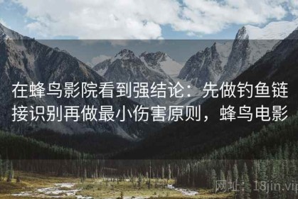 在蜂鸟影院看到强结论：先做钓鱼链接识别再做最小伤害原则，蜂鸟电影