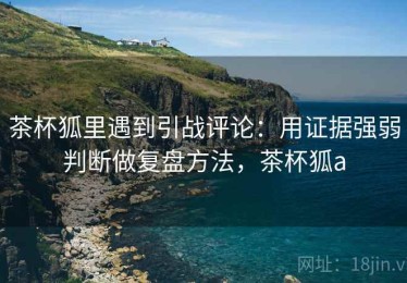 茶杯狐里遇到引战评论：用证据强弱判断做复盘方法，茶杯狐a