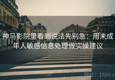 神马影院里看到说法先别急：用未成年人敏感信息处理做实操建议