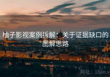 柚子影视案例拆解：关于证据缺口的图解思路