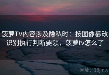 菠萝TV内容涉及隐私时：按图像篡改识别执行判断要领，菠萝tv怎么了