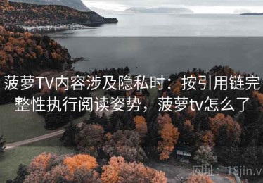 菠萝TV内容涉及隐私时：按引用链完整性执行阅读姿势，菠萝tv怎么了