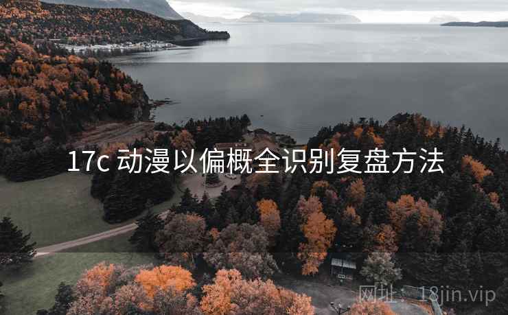 17c 动漫以偏概全识别复盘方法