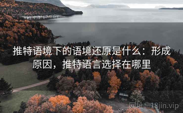 推特语境下的语境还原是什么：形成原因，推特语言选择在哪里