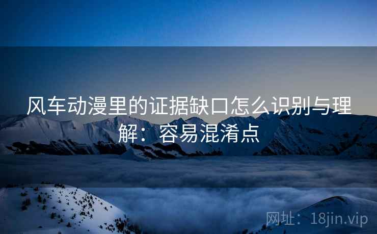 风车动漫里的证据缺口怎么识别与理解:容易混淆点 风车动漫里的证据缺口怎么识别与理解:容易混淆点