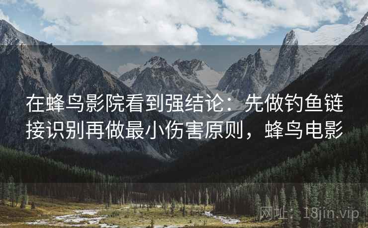在蜂鸟影院看到强结论：先做钓鱼链接识别再做最小伤害原则，蜂鸟电影