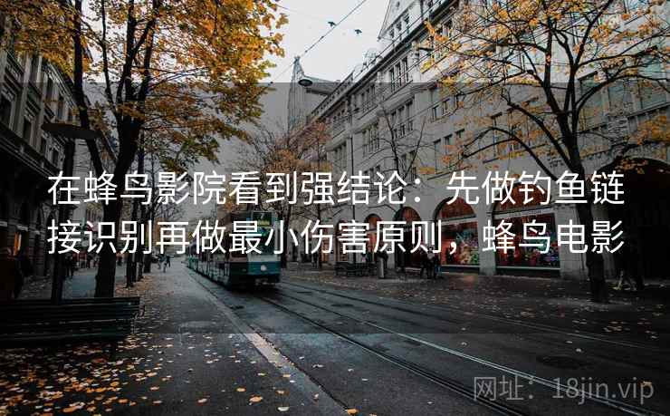 在蜂鸟影院看到强结论：先做钓鱼链接识别再做最小伤害原则，蜂鸟电影
